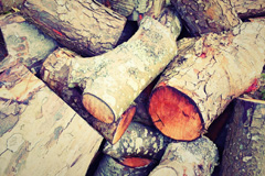 Bantaskin wood burning boiler costs